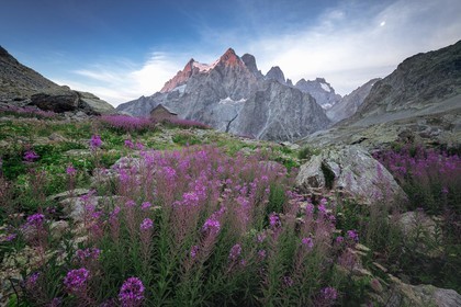 Lever de soleil au Pelvoux avec les épilobes©Pierre Barrot