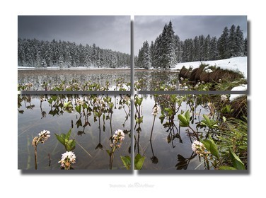 Les saisons se rencontrent au lac de Roue au 15 mai