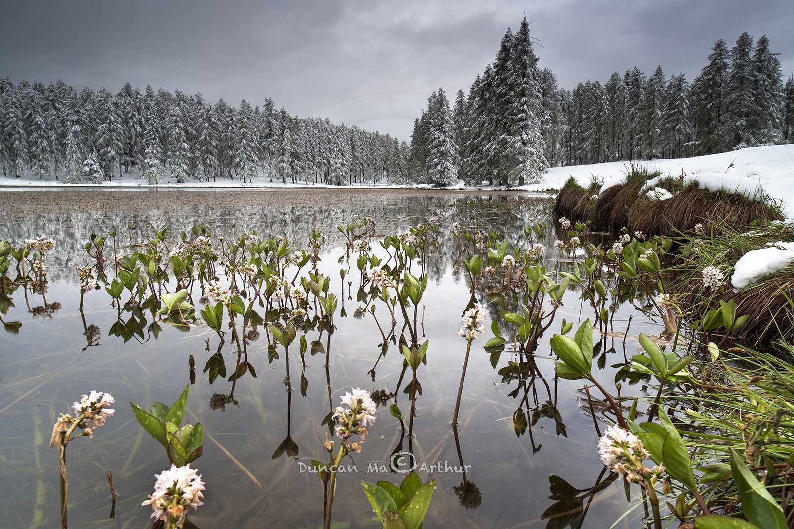 Les saisons se rencontrent le 15 mai au lac de Roue© Duncan MacArthur