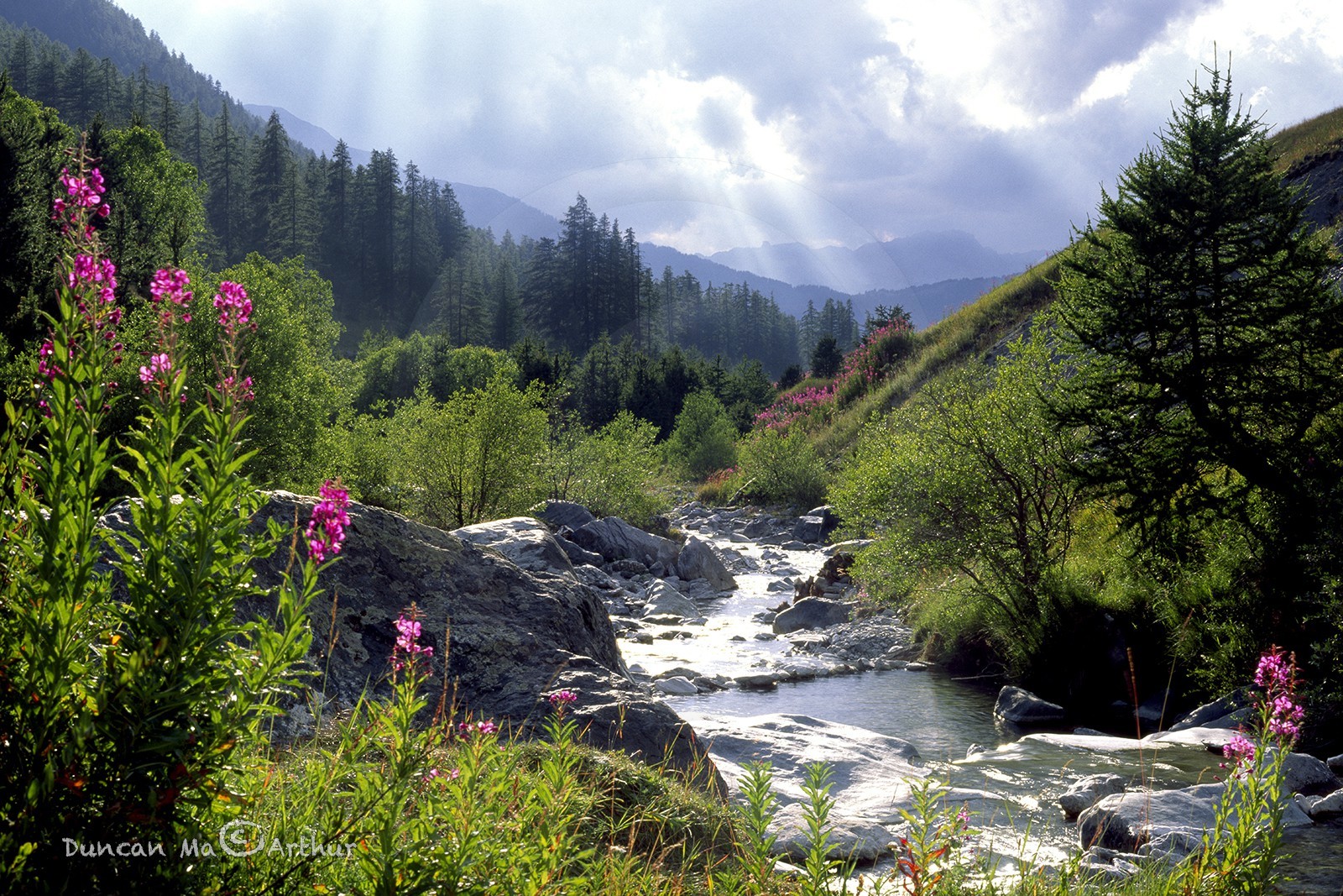 L'aigue Agnelle© Duncan MacArthur