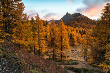 Le feu de l'automne au sommet Bûcher.© Duncan MacArthur