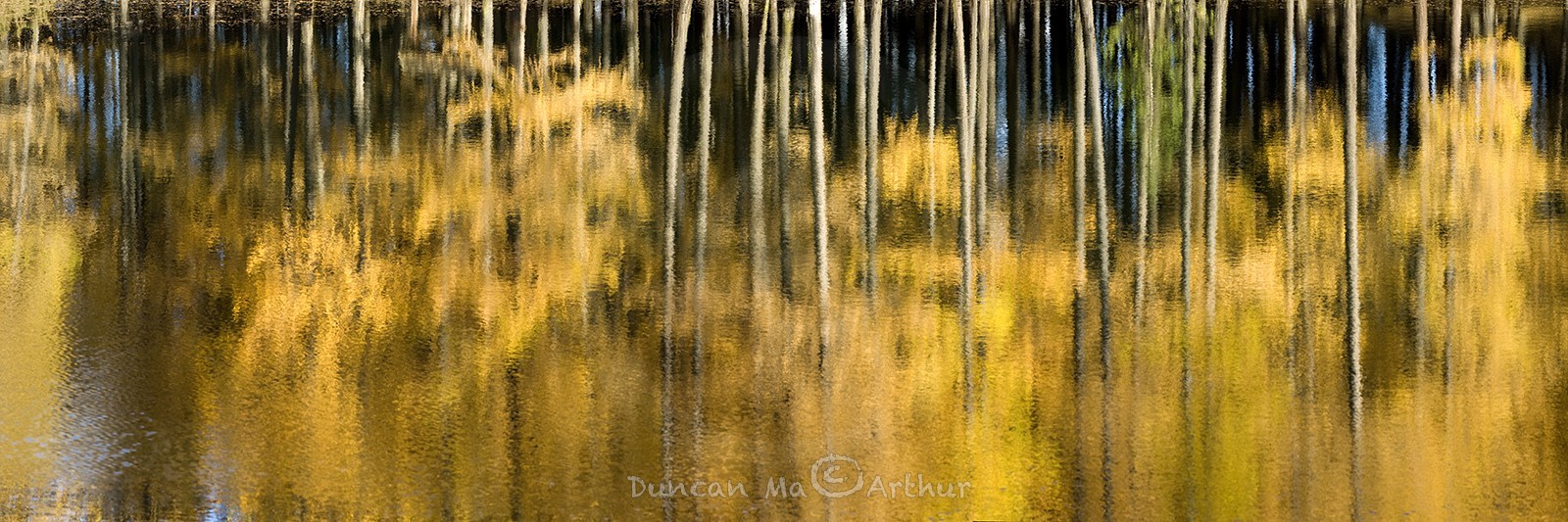 Couleurs d'automne au lac de Roue© Duncan MacArthur