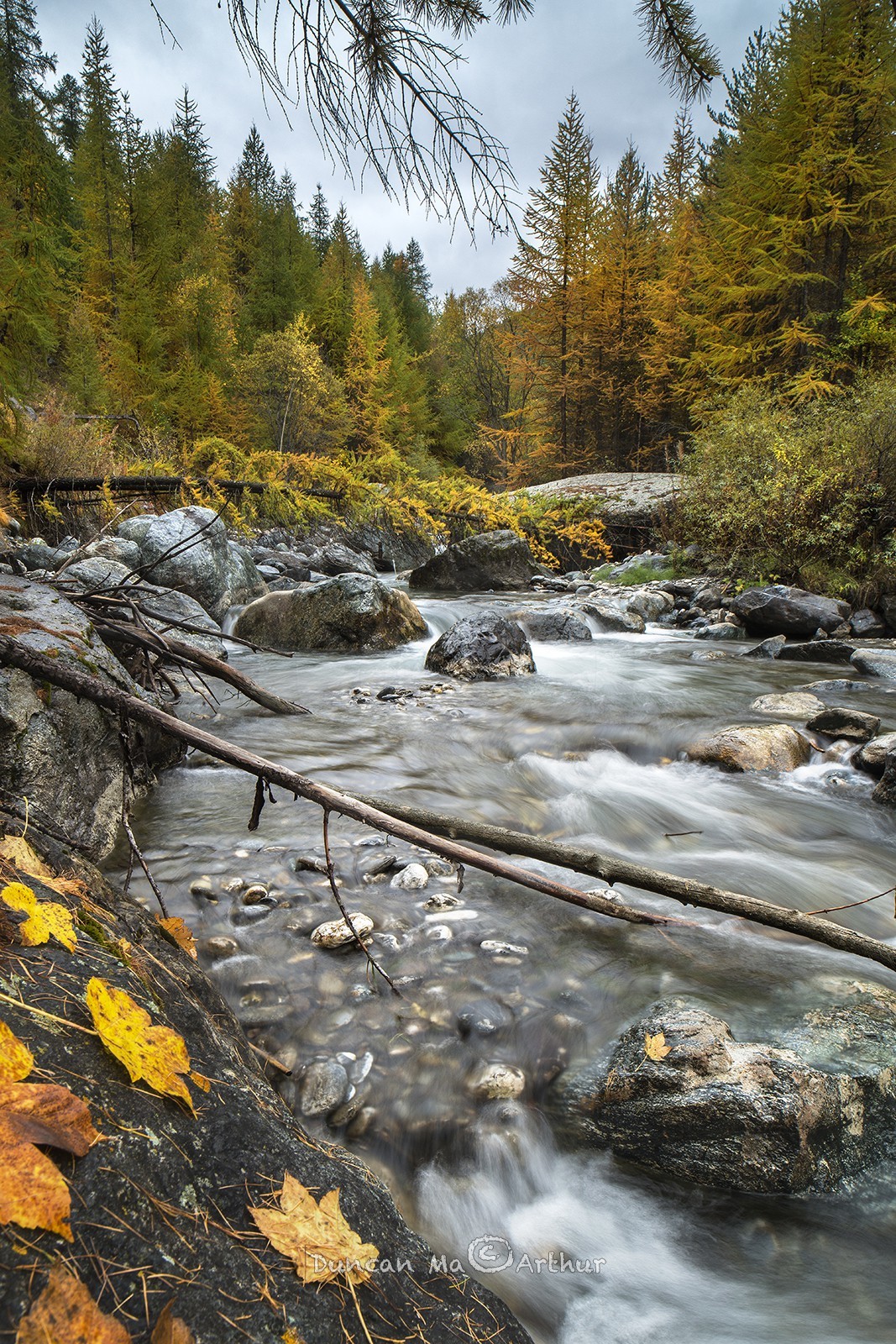 Autumn at the aigue Blanche