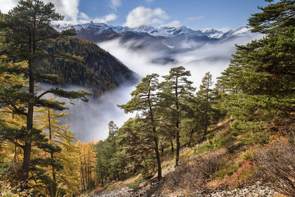L'automne dans le Queyras© Duncan MacArthur