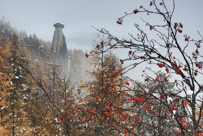 La demoiselle coiffée dans le brouillard© Duncan MacArthur
