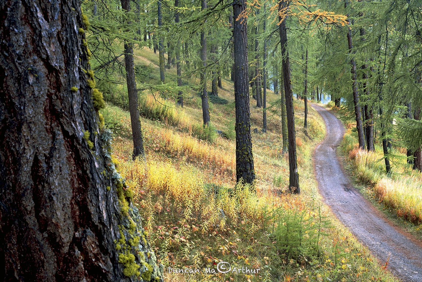 Le chemin des Amoureux, Molines.© Duncan MacArthur