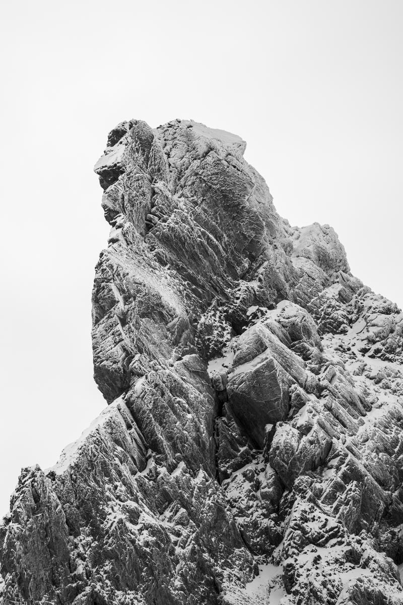 Portrait de la tête des toilies