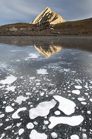 Une fleur de glace sur le lac d'Asti© Duncan MacArthur