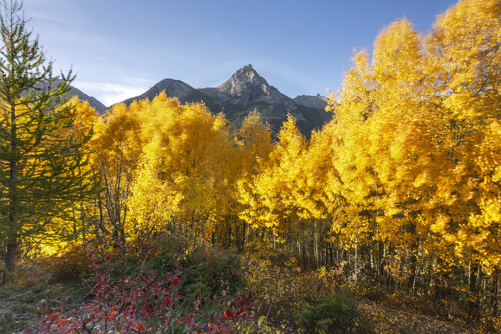 Octobre à Bramousse© Duncan MacArthur