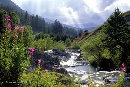 L'aigue Agnelle© Duncan MacArthur