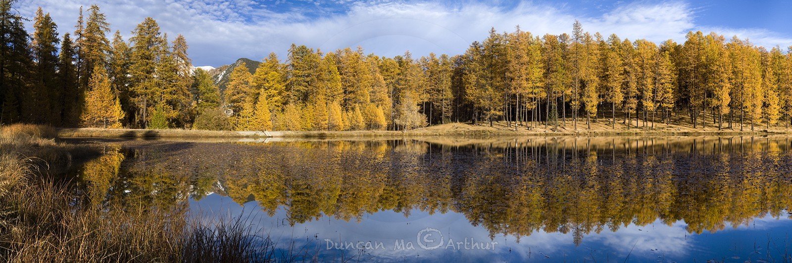 Couleurs d'automne au lac de Roue© Duncan MacArthur